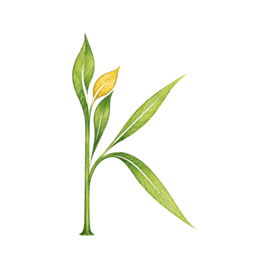 Kseeds — насіння та агротовари