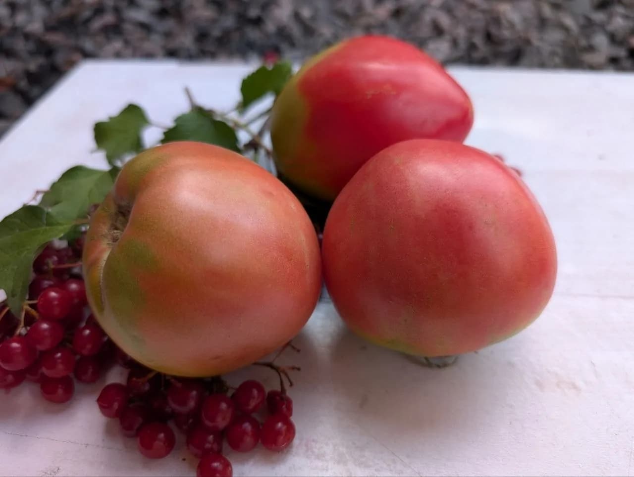 Кумбель