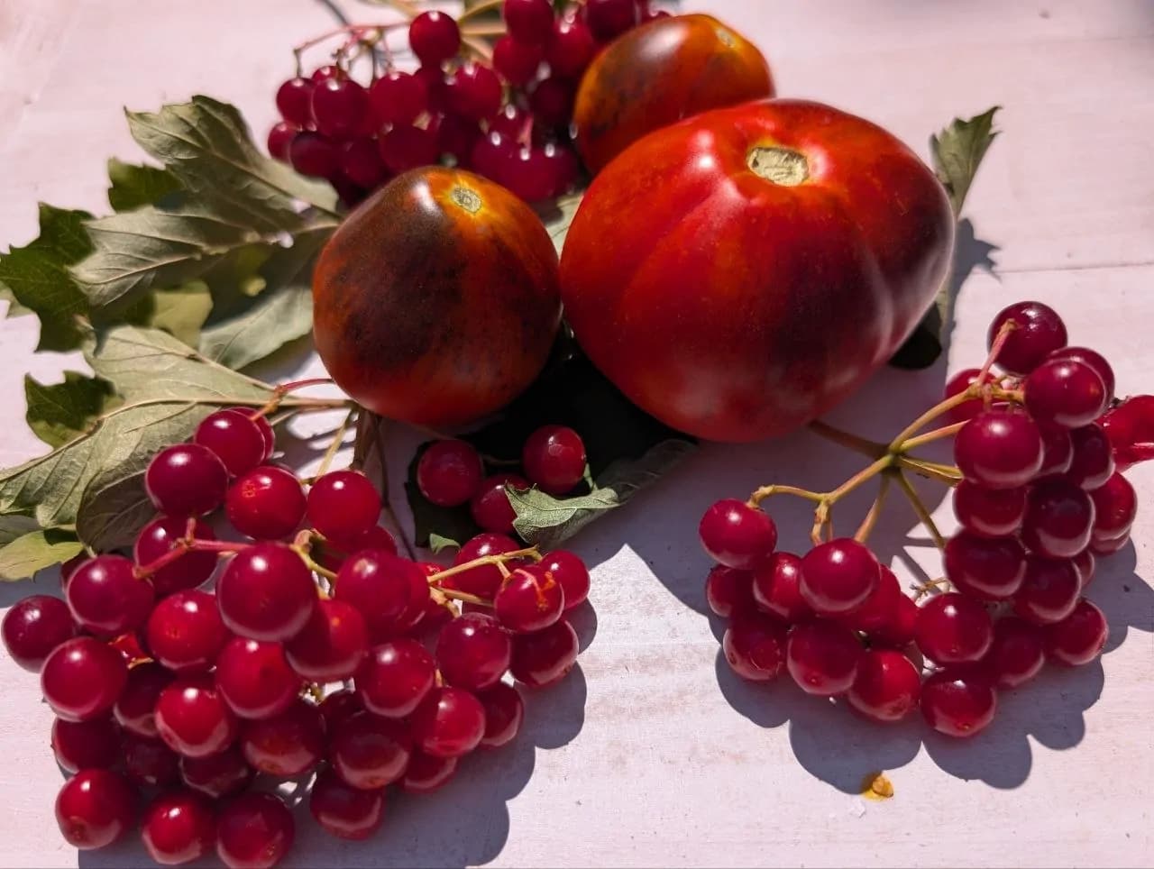 Синя груша Духова 2